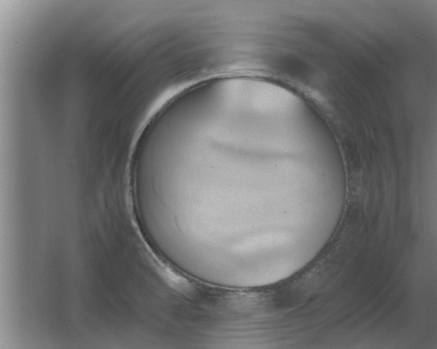 X0000064041470200602031545