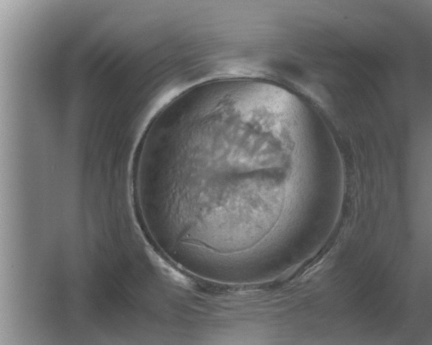 X0000064041471200602031545