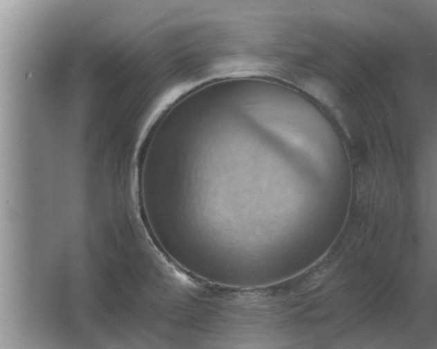 X0000064041472200602031545