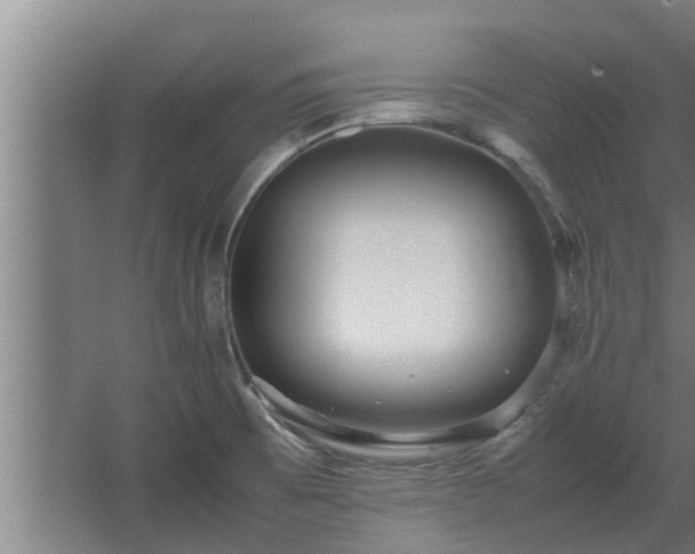 X0000064041473200602031545