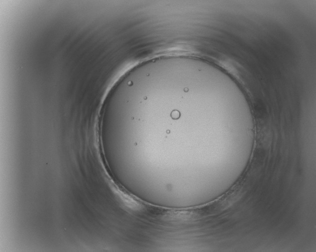 X0000064041474200602031545