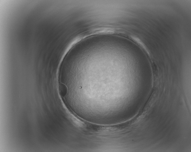 X0000064041475200602031545