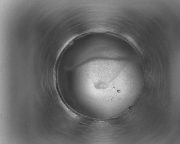 X0000064041476200602031545