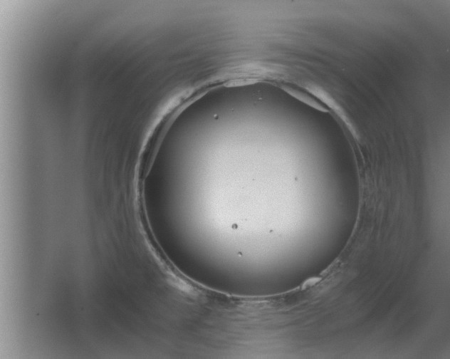 X0000064041477200602031545