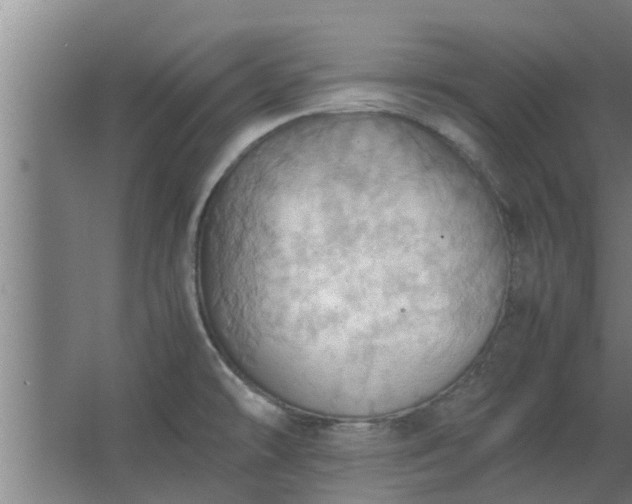 X0000064041478200602031545