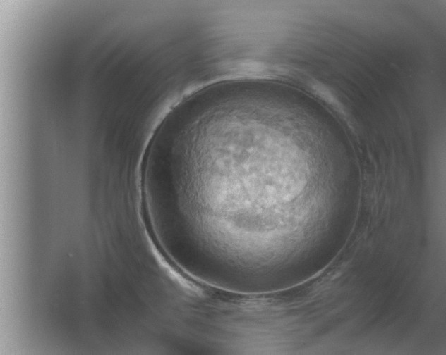 X0000064041479200602031545