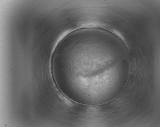 X0000064041480200602031545