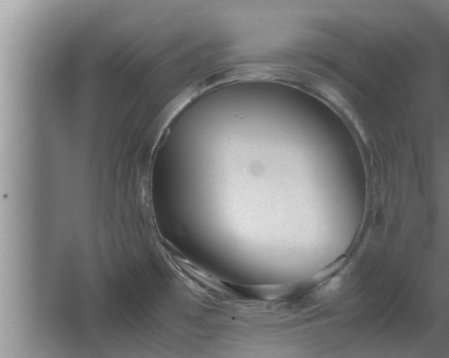 X0000064041481200602031545