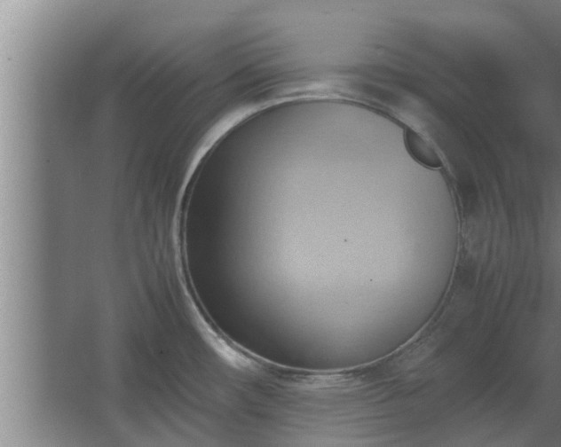 X0000064041482200602031545