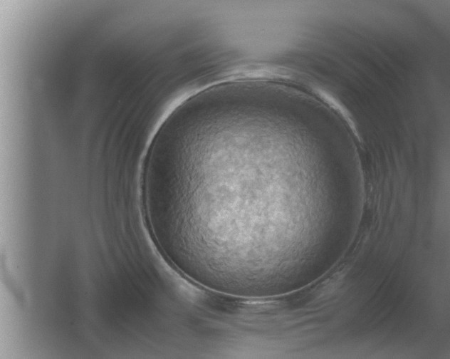 X0000064041483200602031545