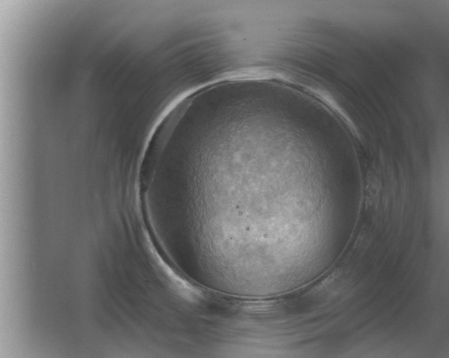 X0000064041484200602031544