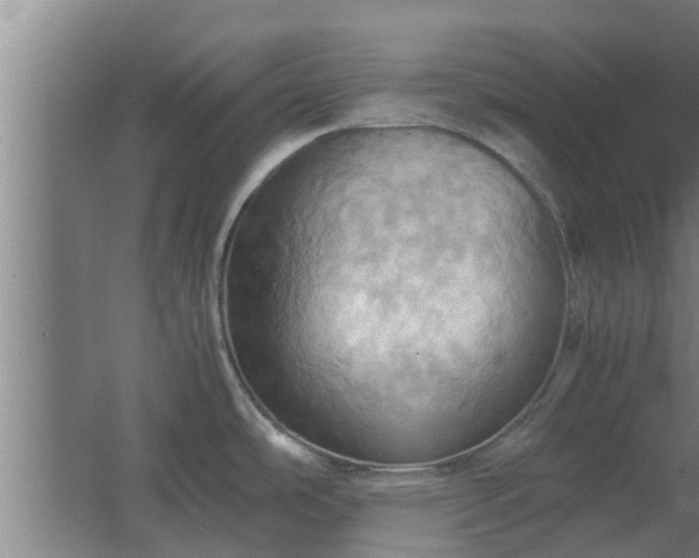 X0000064041486200602031544