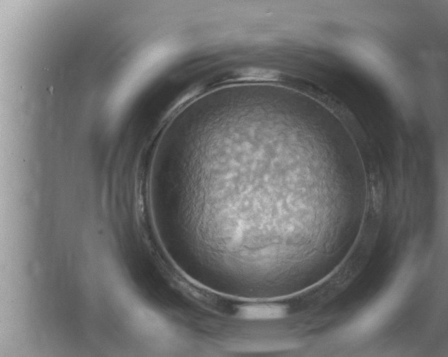 X0000064041487200602031544