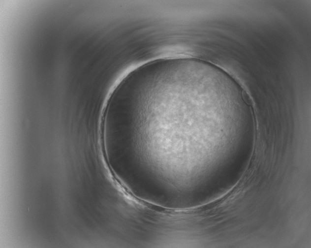 X0000064041488200602031544