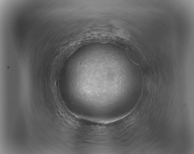 X0000064041489200602031544