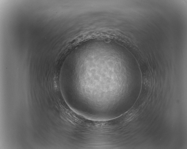 X0000064041490200602031544