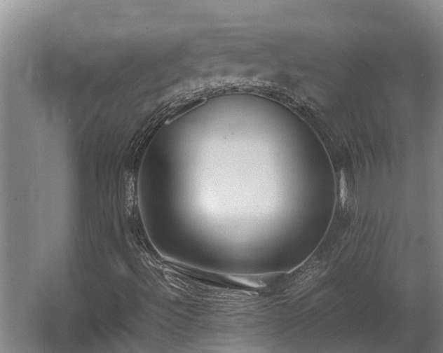 X0000064041492200602031544