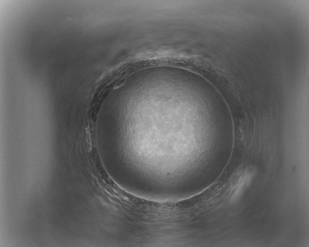 X0000064041493200602031544