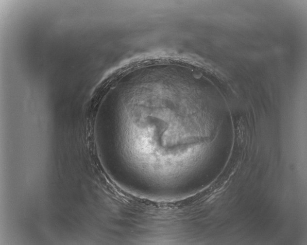 X0000064041494200602031544