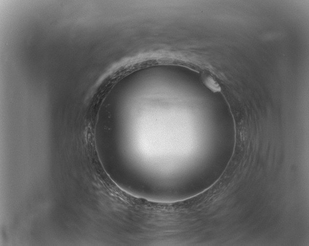 X0000064041495200602031544