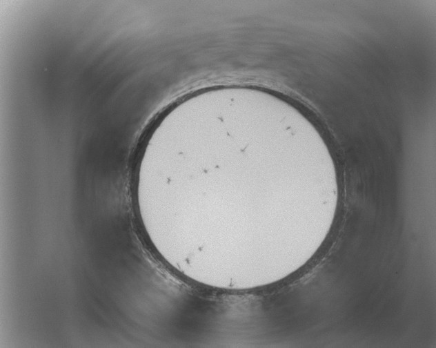 X0000064041498200602031544