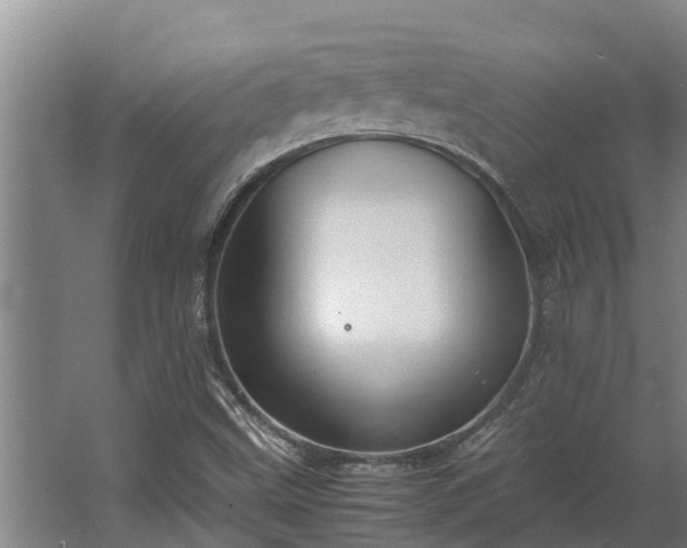 X0000064041499200602031544