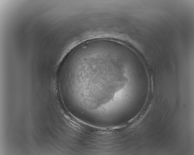 X0000064041501200602031544