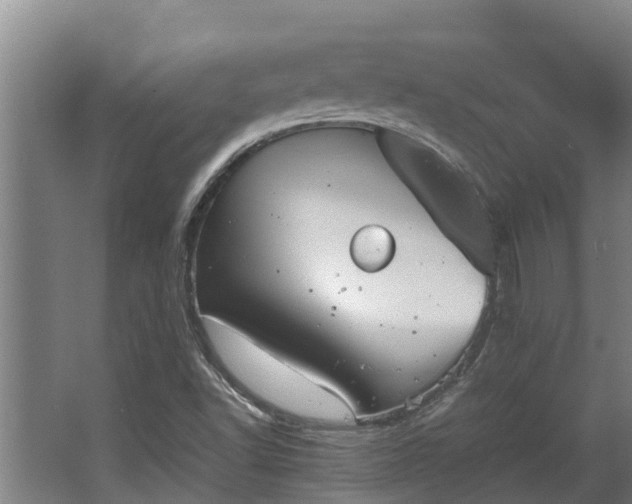 X0000064041502200602031544