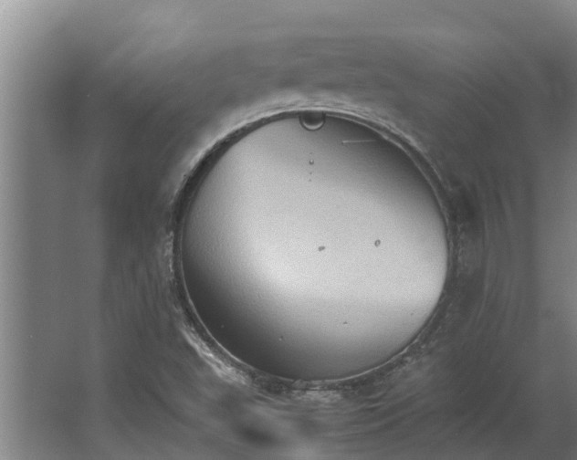 X0000064041503200602031544