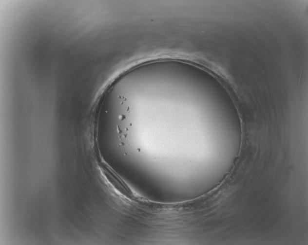 X0000064041504200602031544