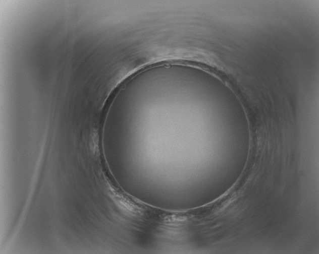 X0000064041505200602031544