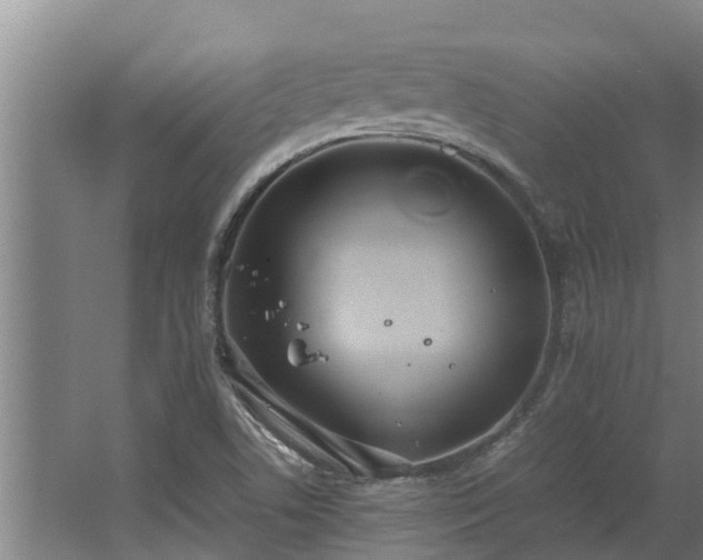 X0000064041506200602031544