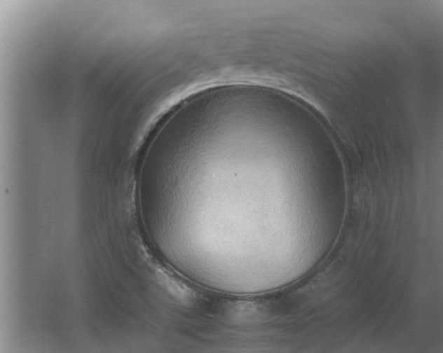 X0000064041507200602031544