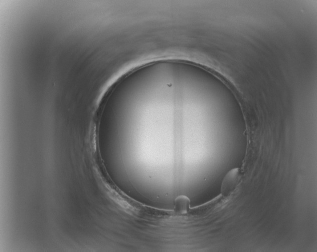 X0000064041510200602031544