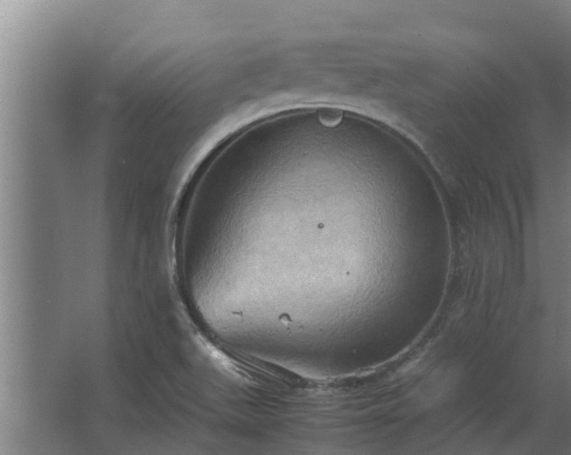 X0000064041511200602031544