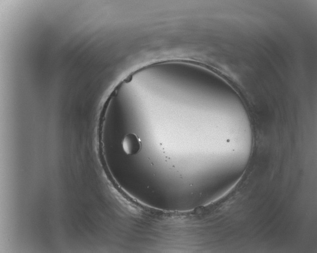 X0000064041512200602031544