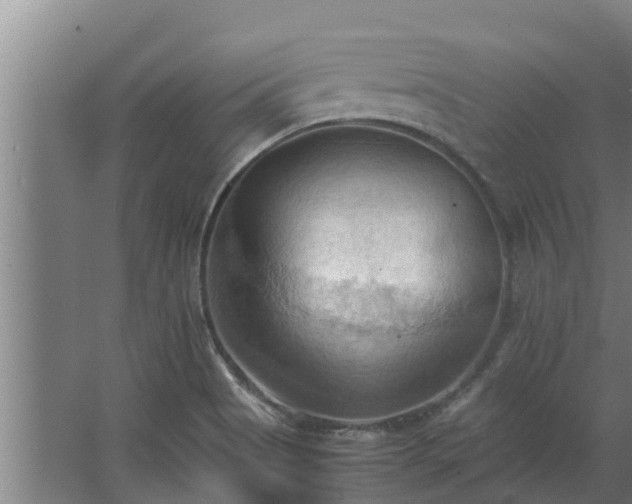 X0000064041513200602031544