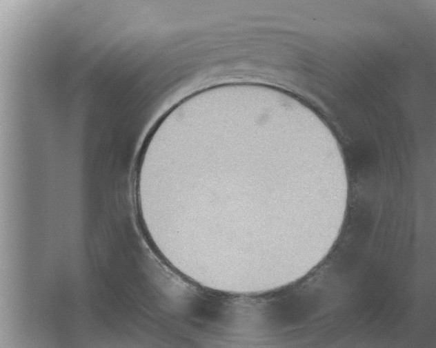 X0000064041514200602031544