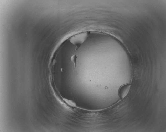 X0000064041515200602031544