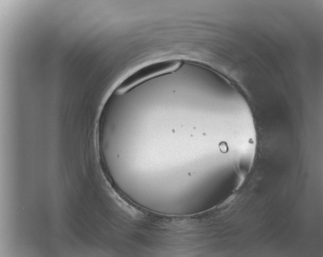 X0000064041516200602031544