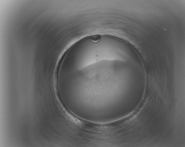 X0000064041517200602031544