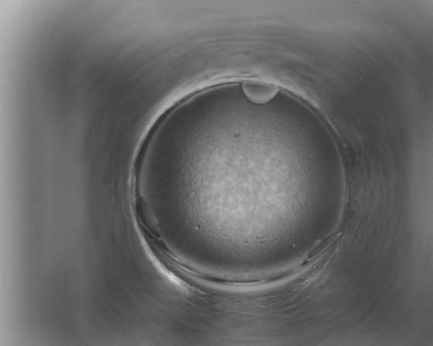 X0000064041519200602031544