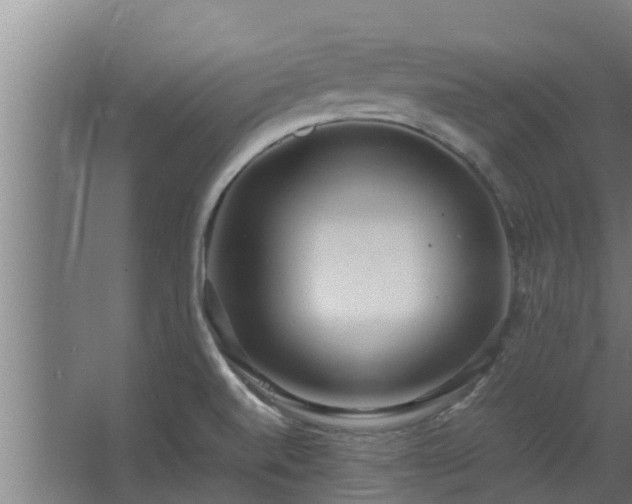 X0000064041520200602031544