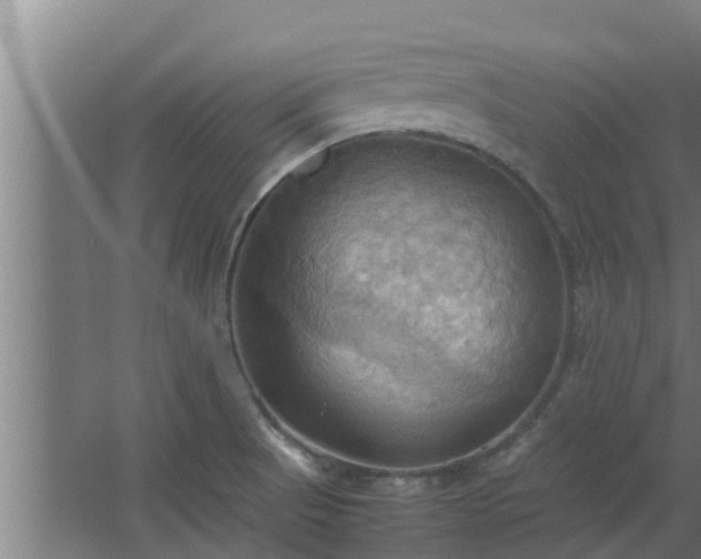 X0000064041521200602031544