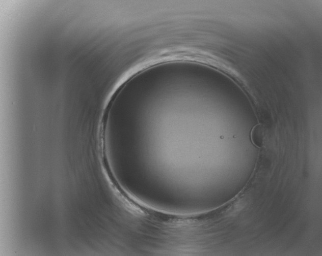 X0000064041522200602031544