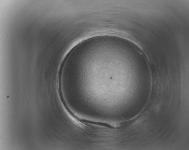 X0000064041523200602031544