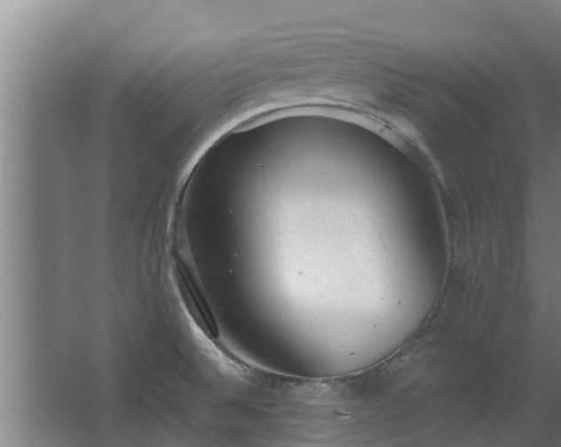 X0000064041524200602031544