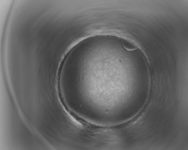 X0000064041525200602031544