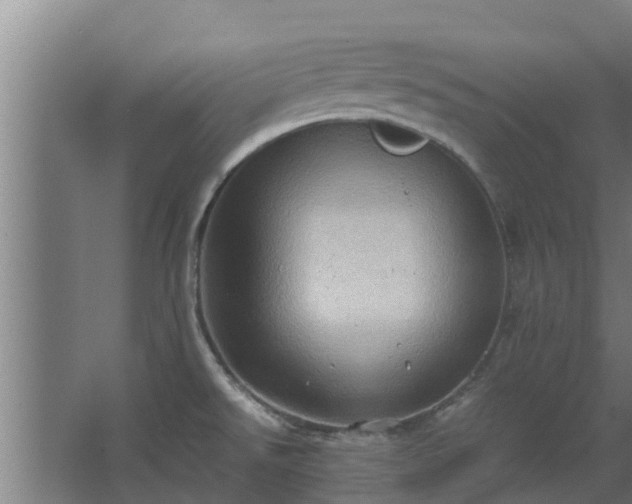 X0000064041526200602031544