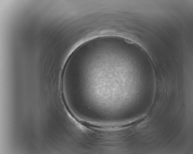 X0000064041527200602031544